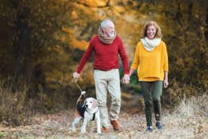 A senior couple with a dog on a walk in an autumn nature.